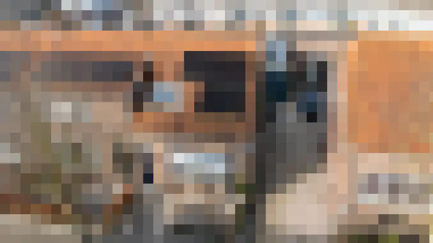 Wilhelminastraat 7 Middelharnis thumbnail 35