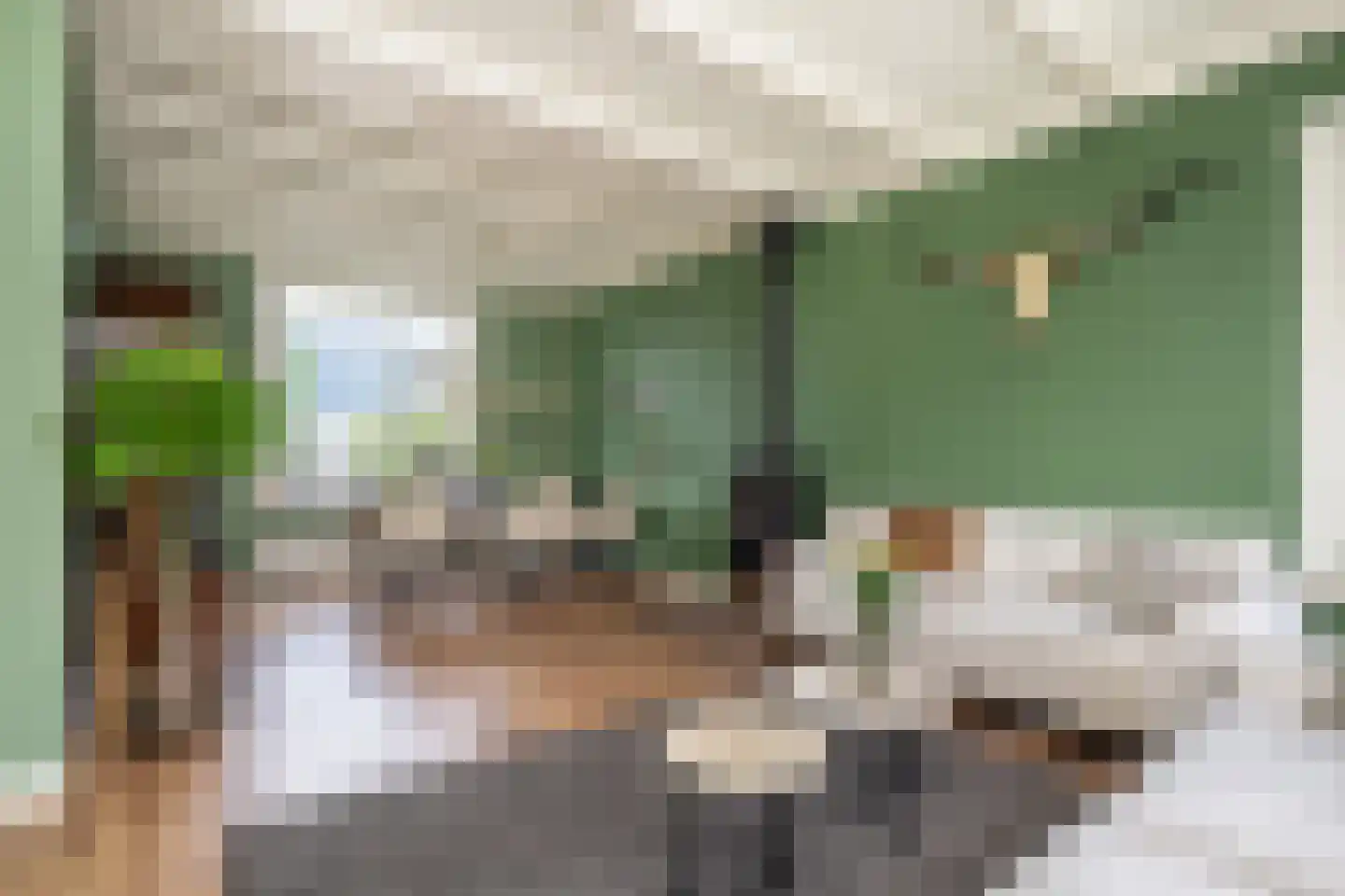 Wilhelminastraat 7 Middelharnis thumbnail 8