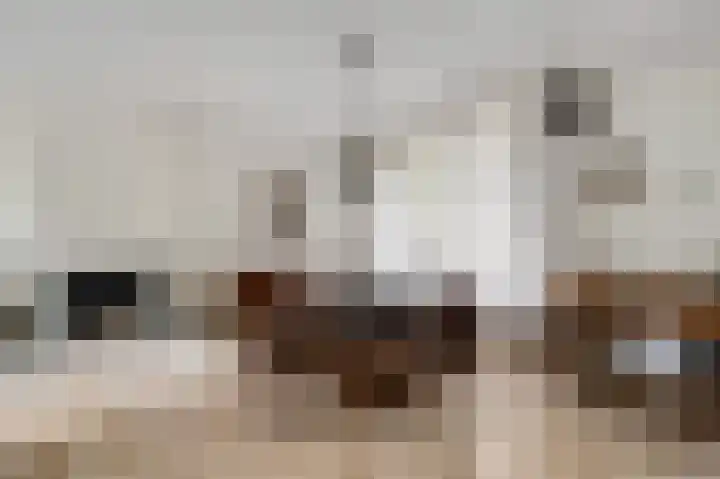 Wilhelminastraat 7 Nederweert thumbnail 10