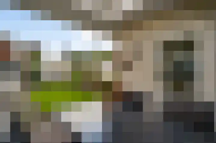 Wilhelminastraat 7 Nederweert thumbnail 14