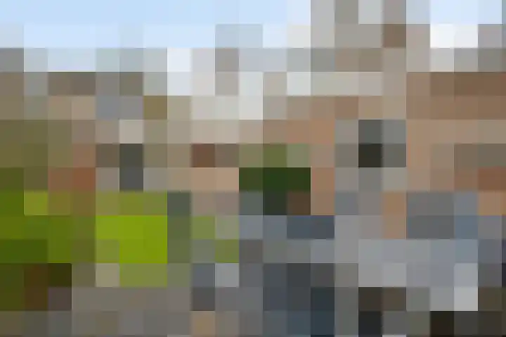 Wilhelminastraat 7 Nederweert thumbnail 25