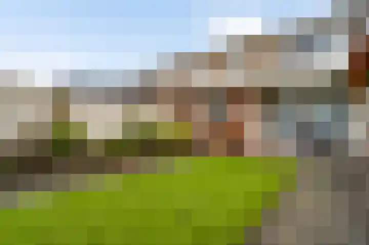 Wilhelminastraat 7 Nederweert thumbnail 26