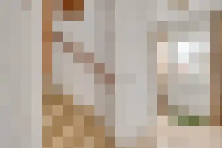 Wilhelminastraat 7 Nederweert thumbnail 4