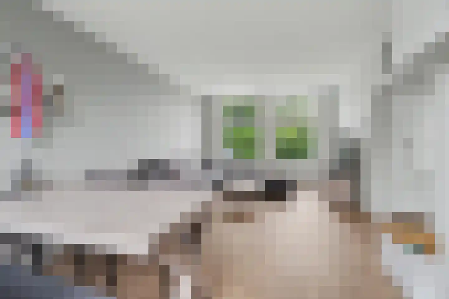 Wilhelminastraat 7 Ulicoten thumbnail 19