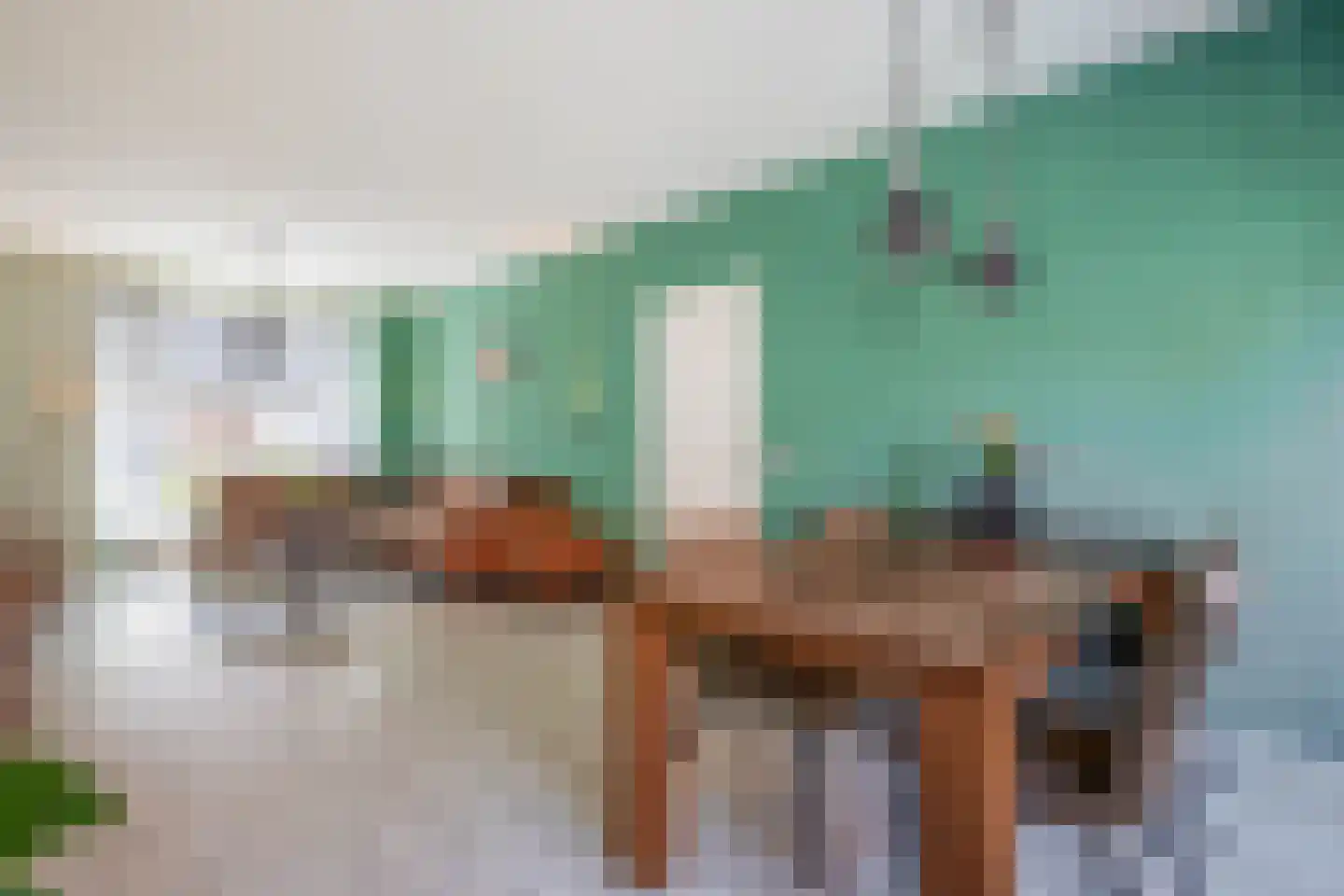 Wilhelminastraat 7 Vlagtwedde thumbnail 11