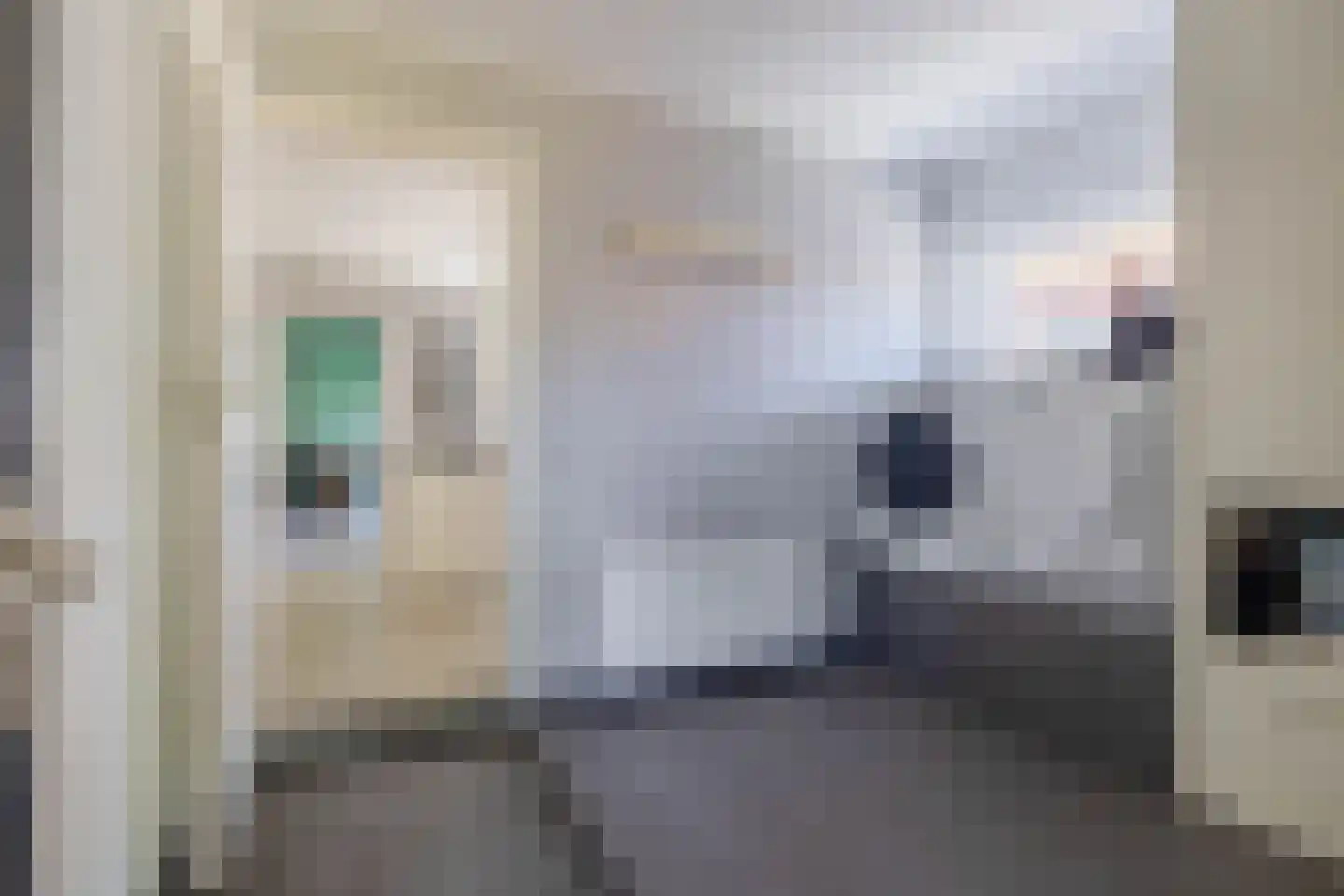 Wilhelminastraat 7 Vlagtwedde thumbnail 18
