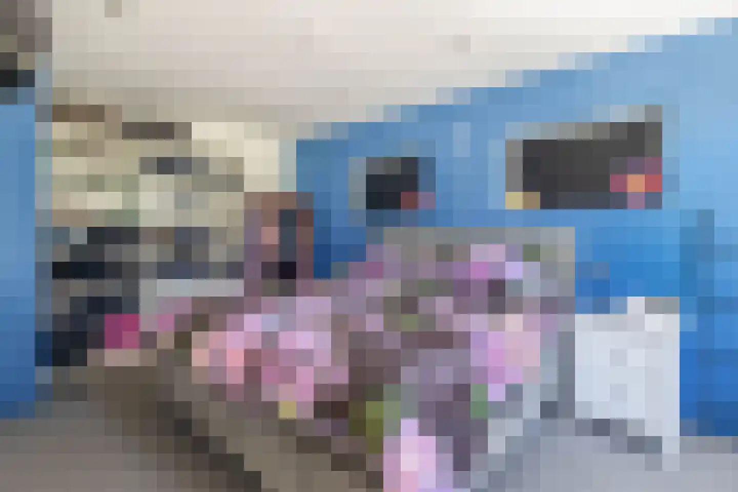 Wilhelminastraat 7 Vlagtwedde thumbnail 21