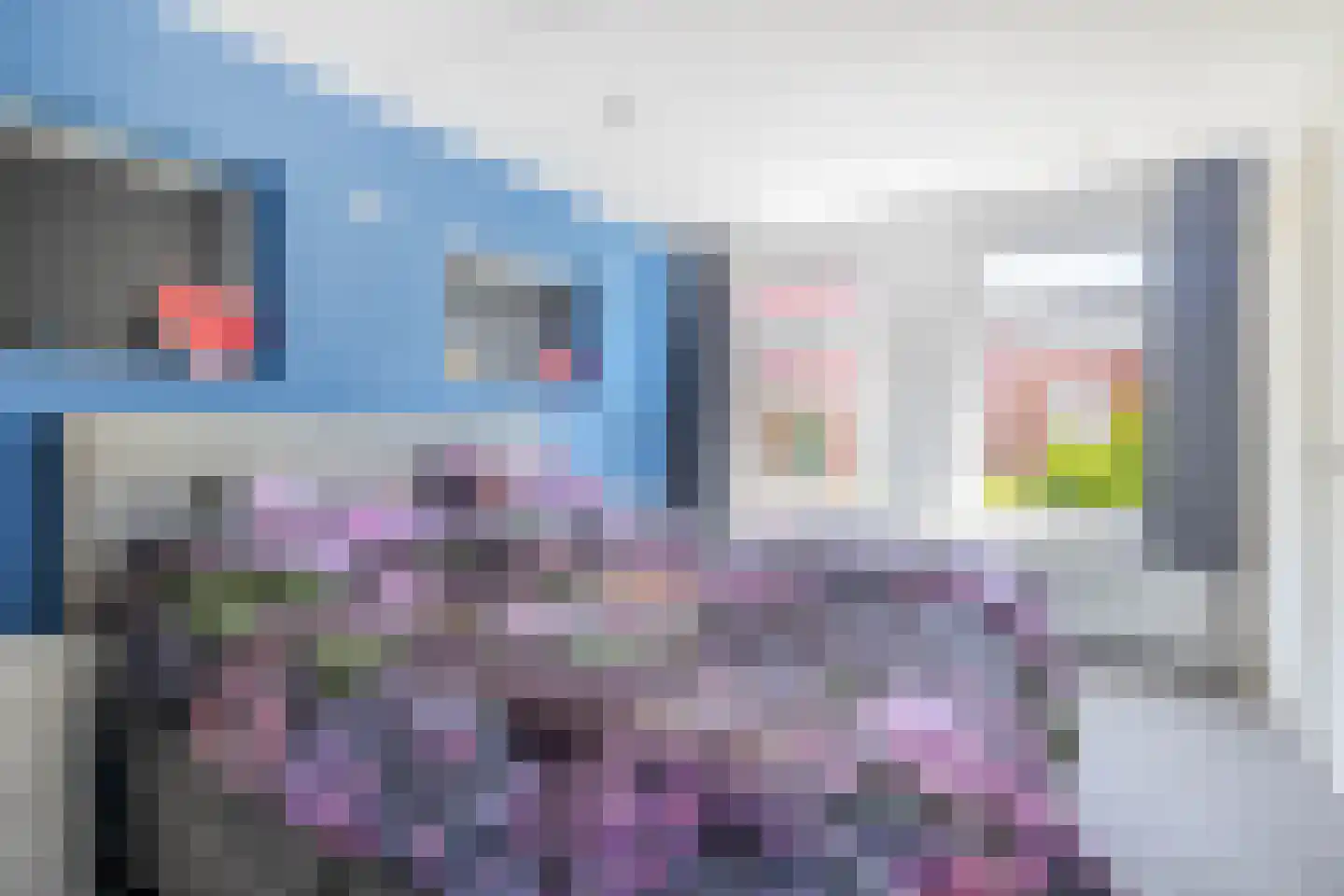 Wilhelminastraat 7 Vlagtwedde thumbnail 22