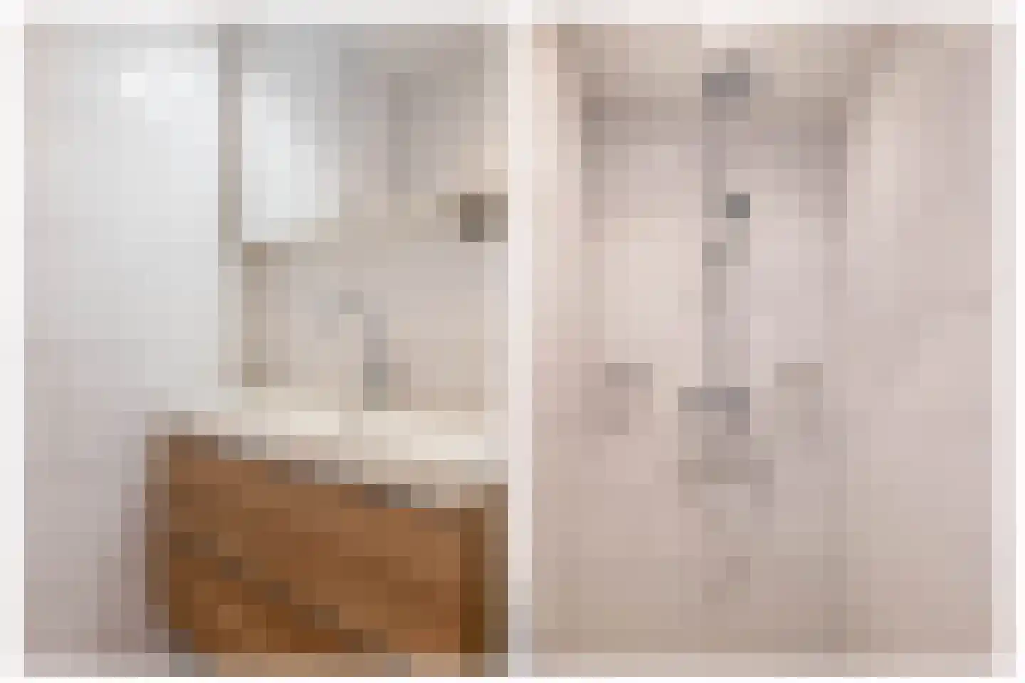 Wilhelminastraat 7 Vlagtwedde thumbnail 24