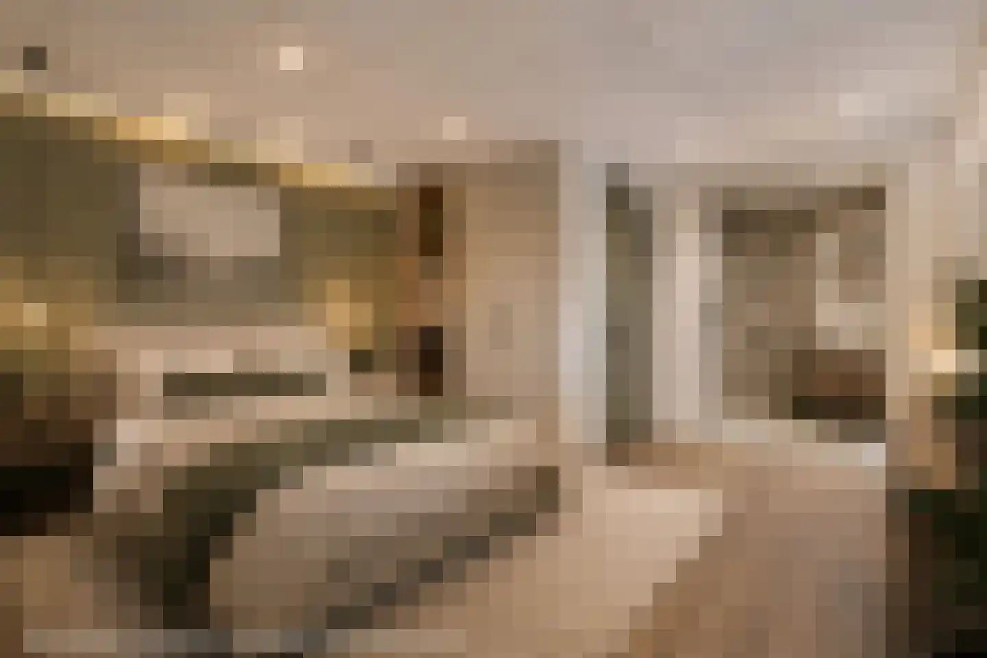 Wilhelminastraat 7 Vlagtwedde thumbnail 26