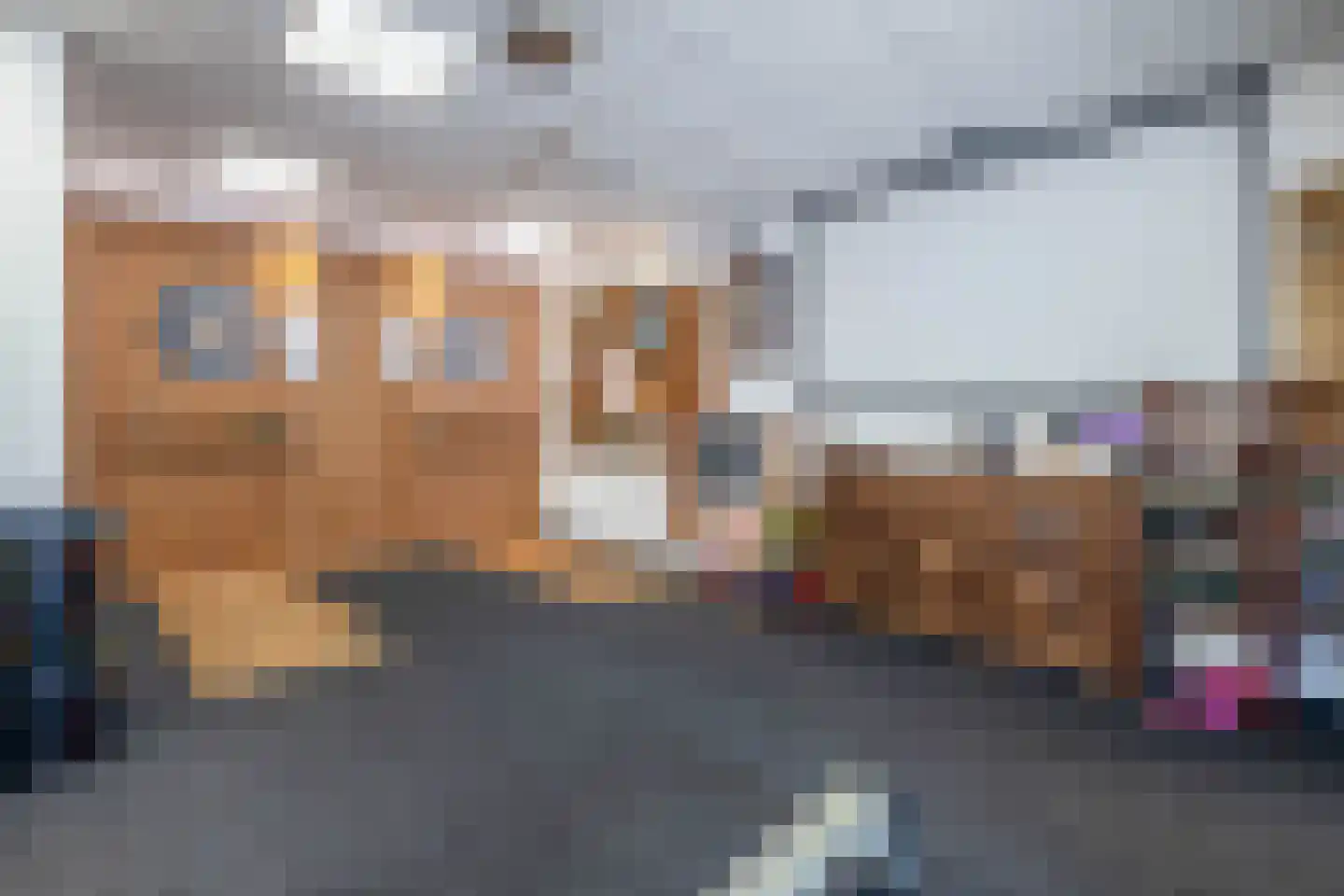 Wilhelminastraat 7 Vlagtwedde thumbnail 27