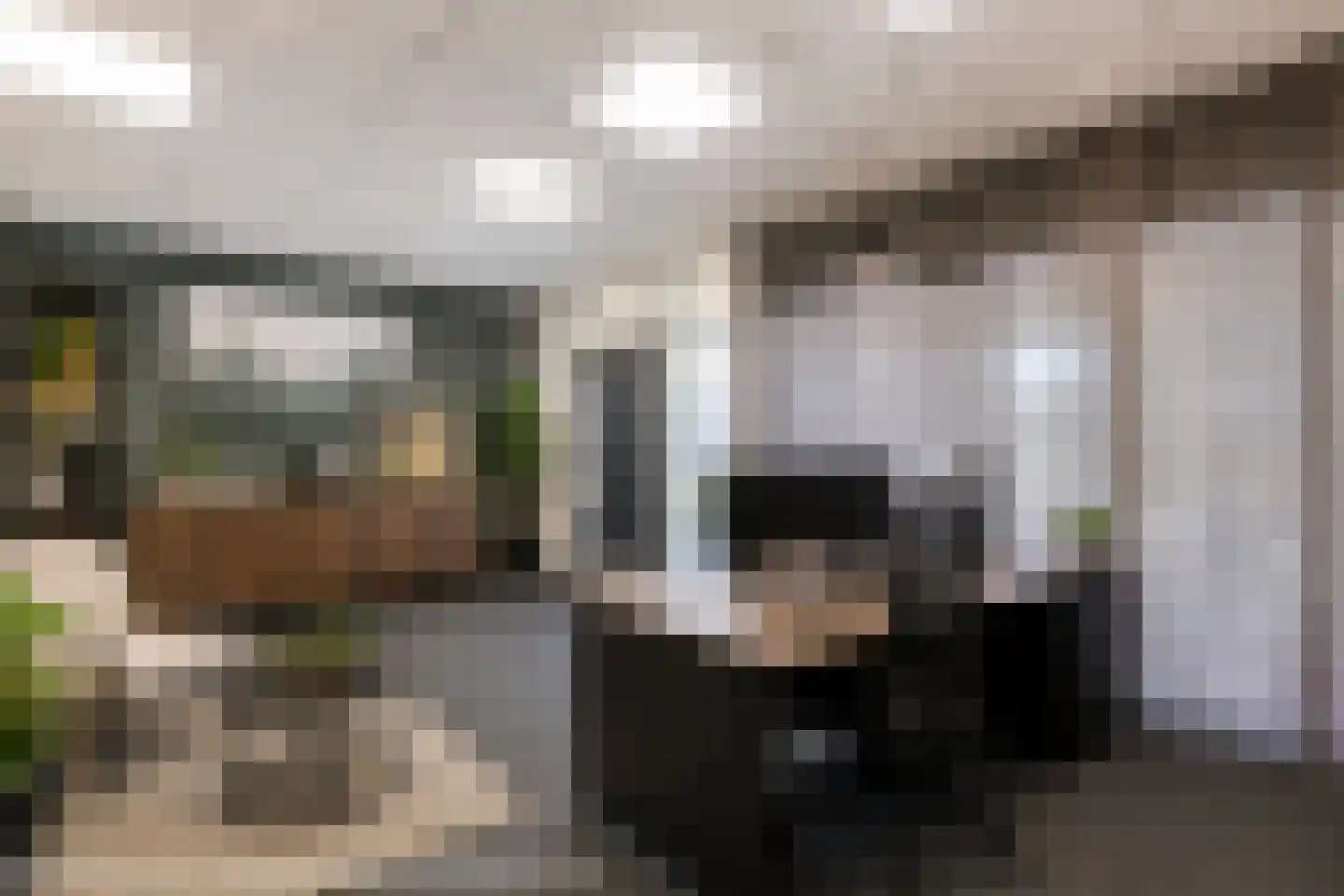 Wilhelminastraat 7 Vlagtwedde thumbnail 29