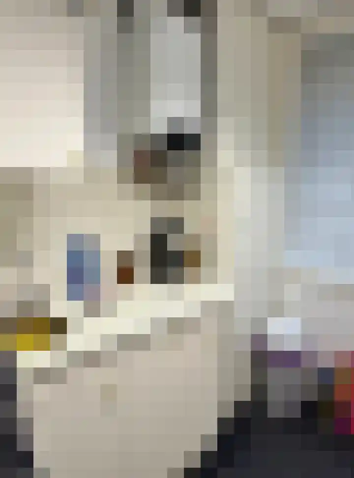 Wilhelminastraat 7 Winterswijk thumbnail 16