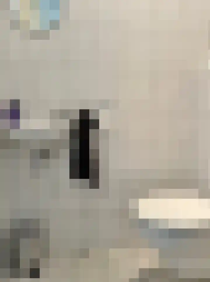 Wilhelminastraat 7 Winterswijk thumbnail 17