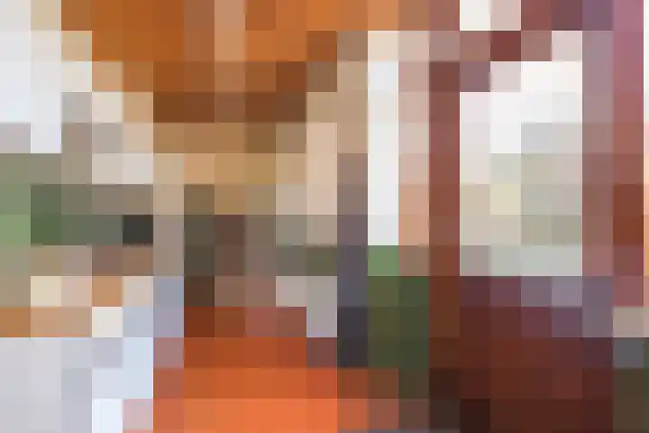 Wilhelminastraat 70 Lisse thumbnail 12