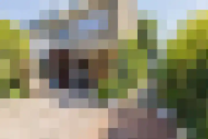 Wilhelminastraat 70 Lisse thumbnail 13