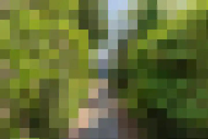 Wilhelminastraat 70 Lisse thumbnail 14