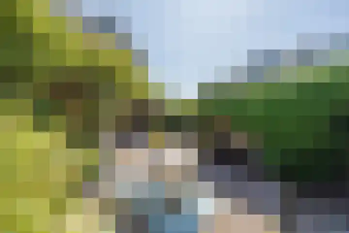 Wilhelminastraat 70 Lisse thumbnail 17