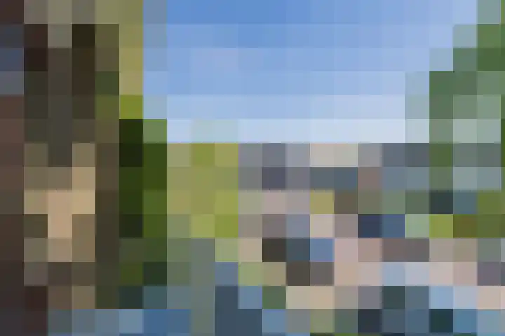 Wilhelminastraat 70 Lisse thumbnail 26
