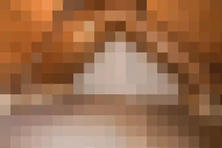 Wilhelminastraat 70 Lisse thumbnail 28