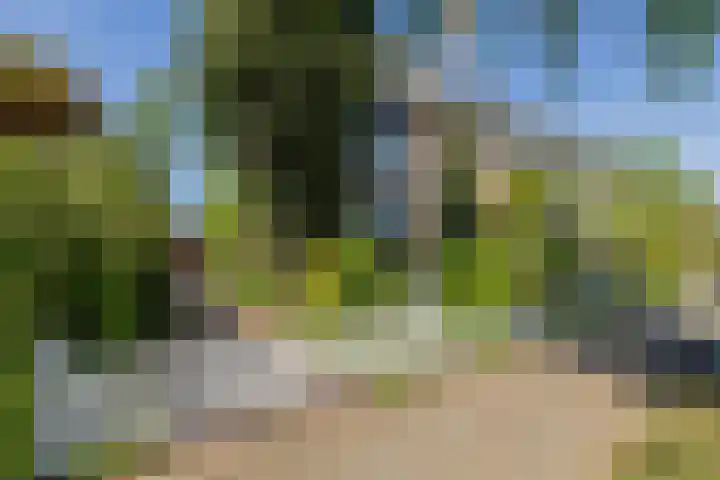 Wilhelminastraat 70 Lisse thumbnail 30
