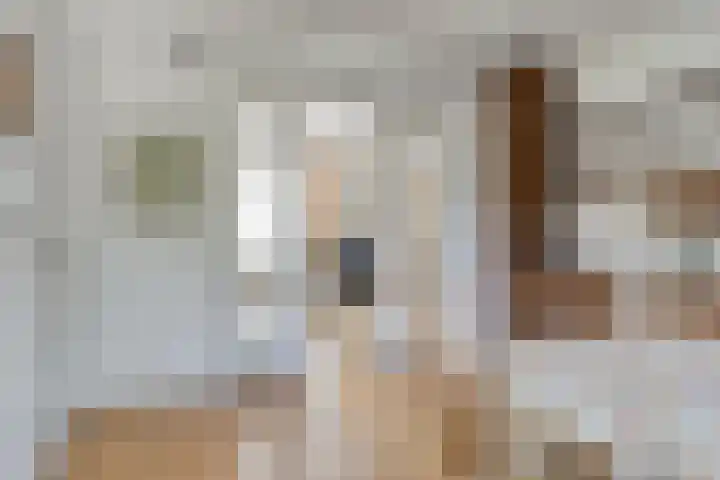 Wilhelminastraat 71 Waalwijk thumbnail 20