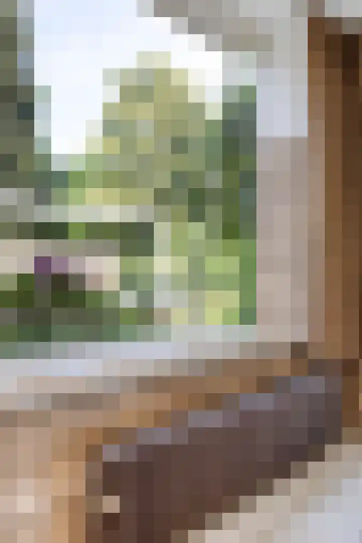 Wilhelminastraat 71 Waalwijk thumbnail 30
