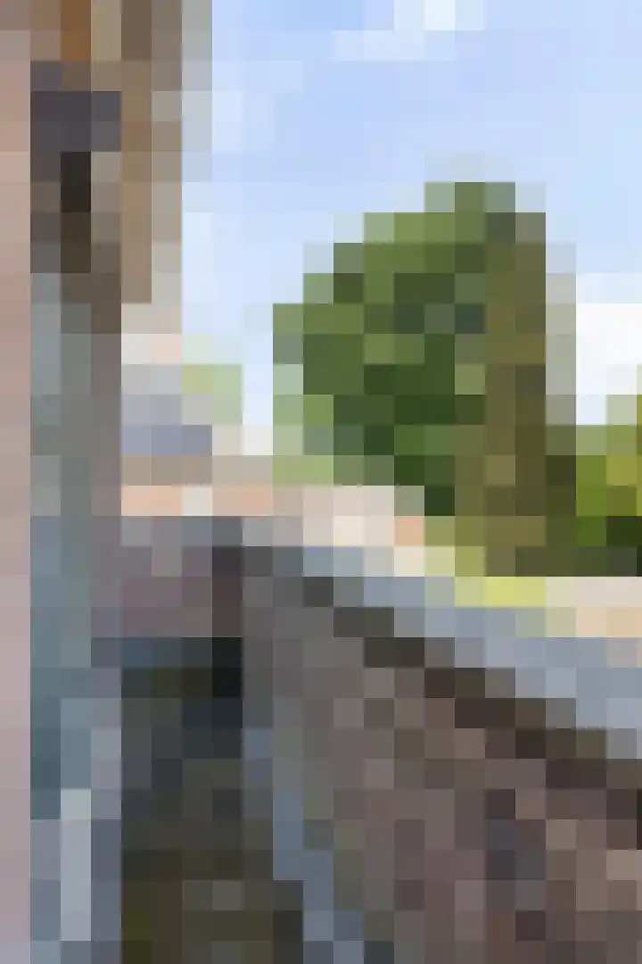 Wilhelminastraat 71 Waalwijk thumbnail 36