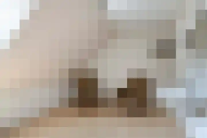 Wilhelminastraat 71 Waalwijk thumbnail 46