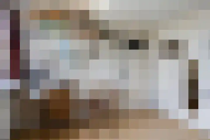 Wilhelminastraat 71 Waalwijk thumbnail 51