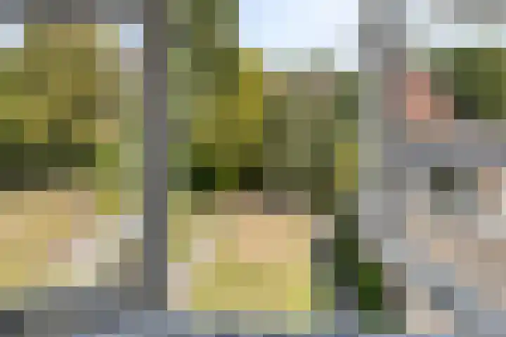 Wilhelminastraat 71 Waalwijk thumbnail 52