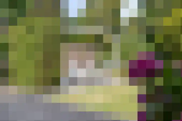 Wilhelminastraat 71 Waalwijk thumbnail 54