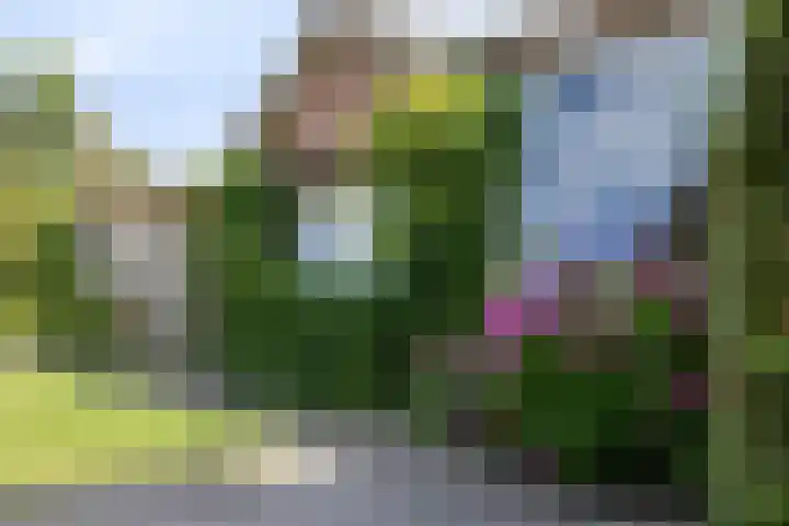 Wilhelminastraat 71 Waalwijk thumbnail 59