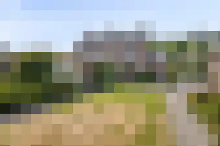Wilhelminastraat 71 Waalwijk thumbnail 60