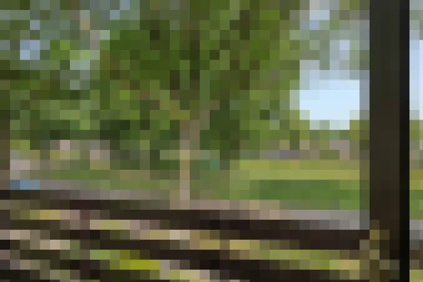 Wilhelminastraat 72 Rosmalen thumbnail 19