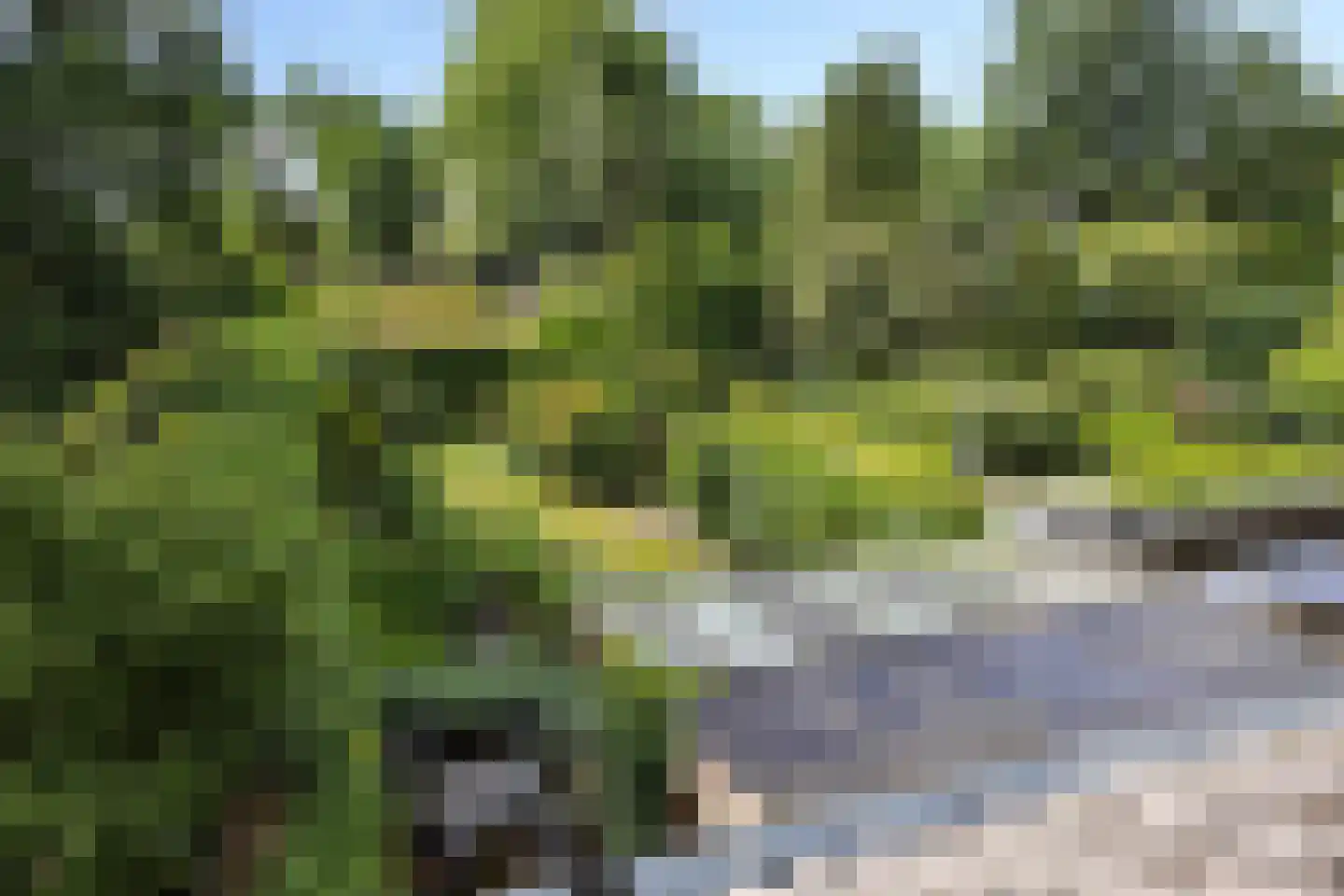 Wilhelminastraat 72 Rosmalen thumbnail 24