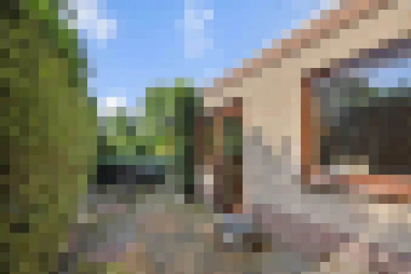 Wilhelminastraat 72 Rosmalen thumbnail 25