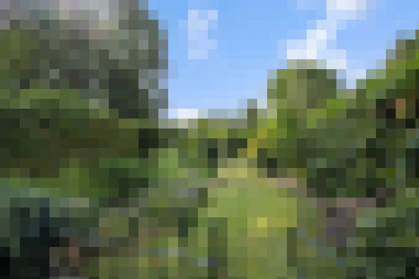 Wilhelminastraat 72 Rosmalen thumbnail 26