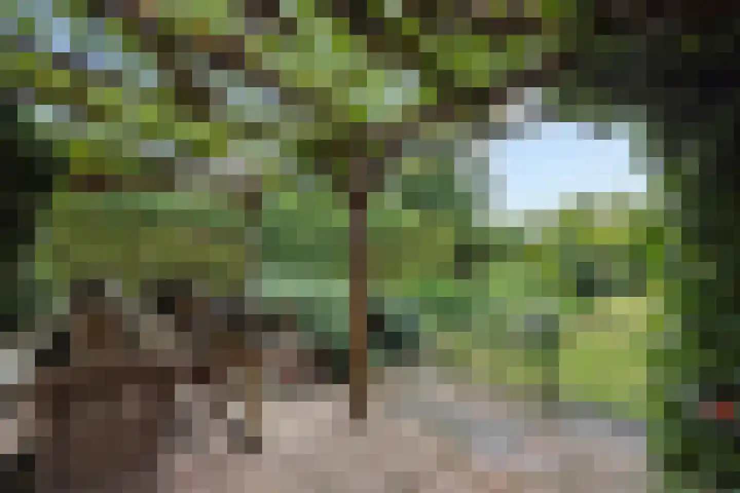 Wilhelminastraat 72 Rosmalen thumbnail 27