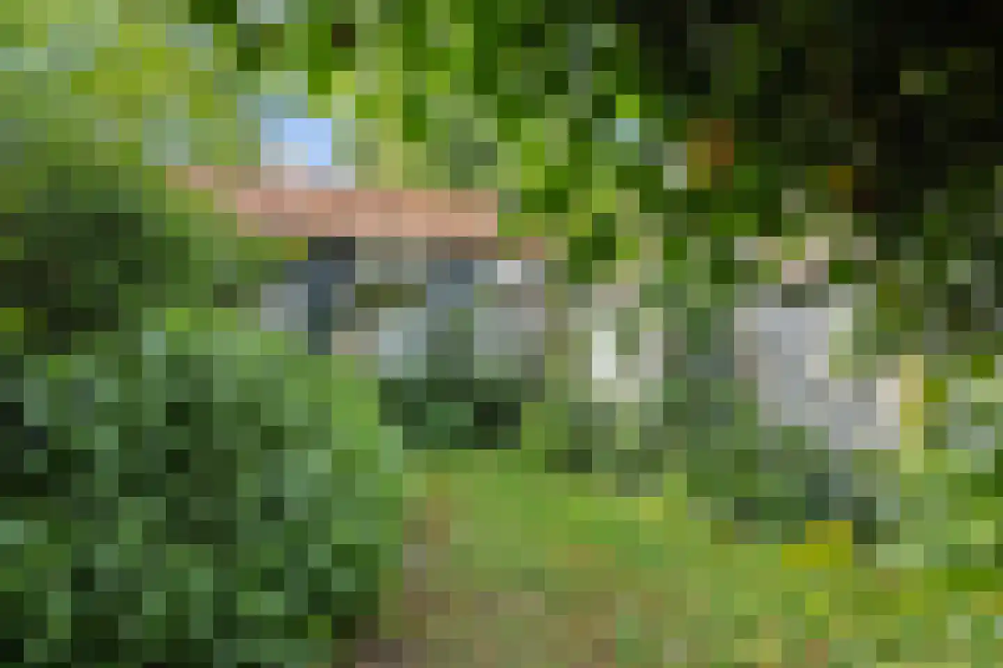 Wilhelminastraat 72 Rosmalen thumbnail 28