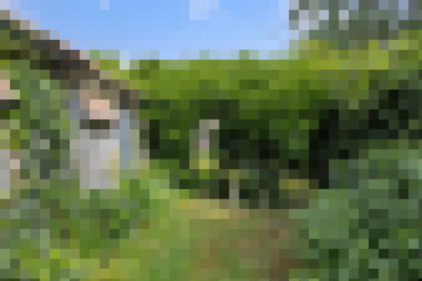 Wilhelminastraat 72 Rosmalen thumbnail 29