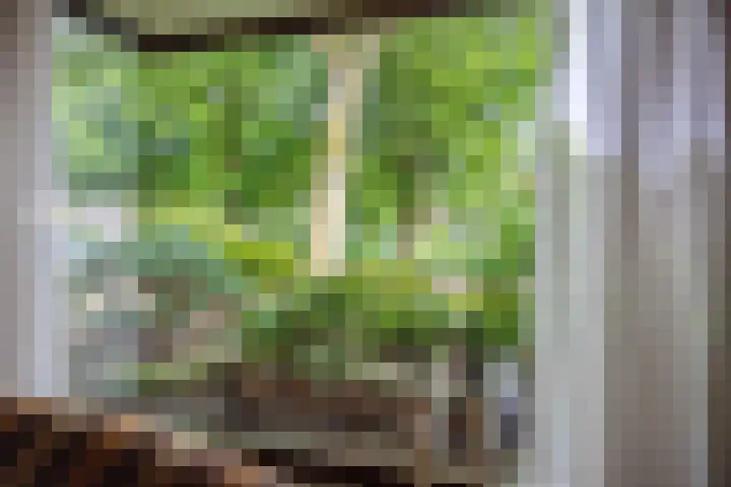 Wilhelminastraat 72 Rosmalen thumbnail 7