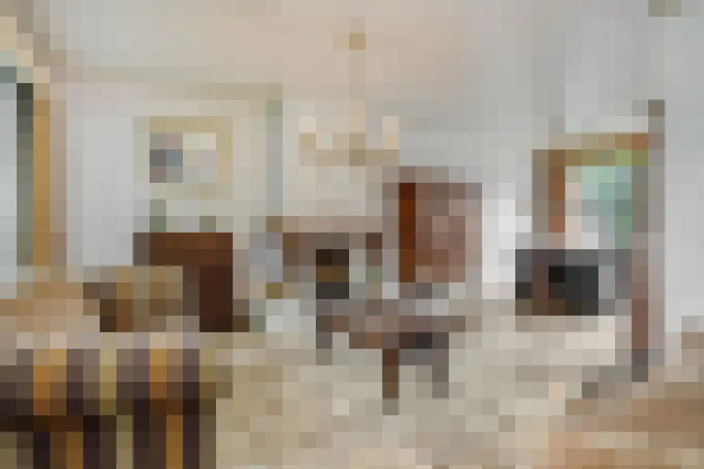 Wilhelminastraat 72 Rosmalen thumbnail 8