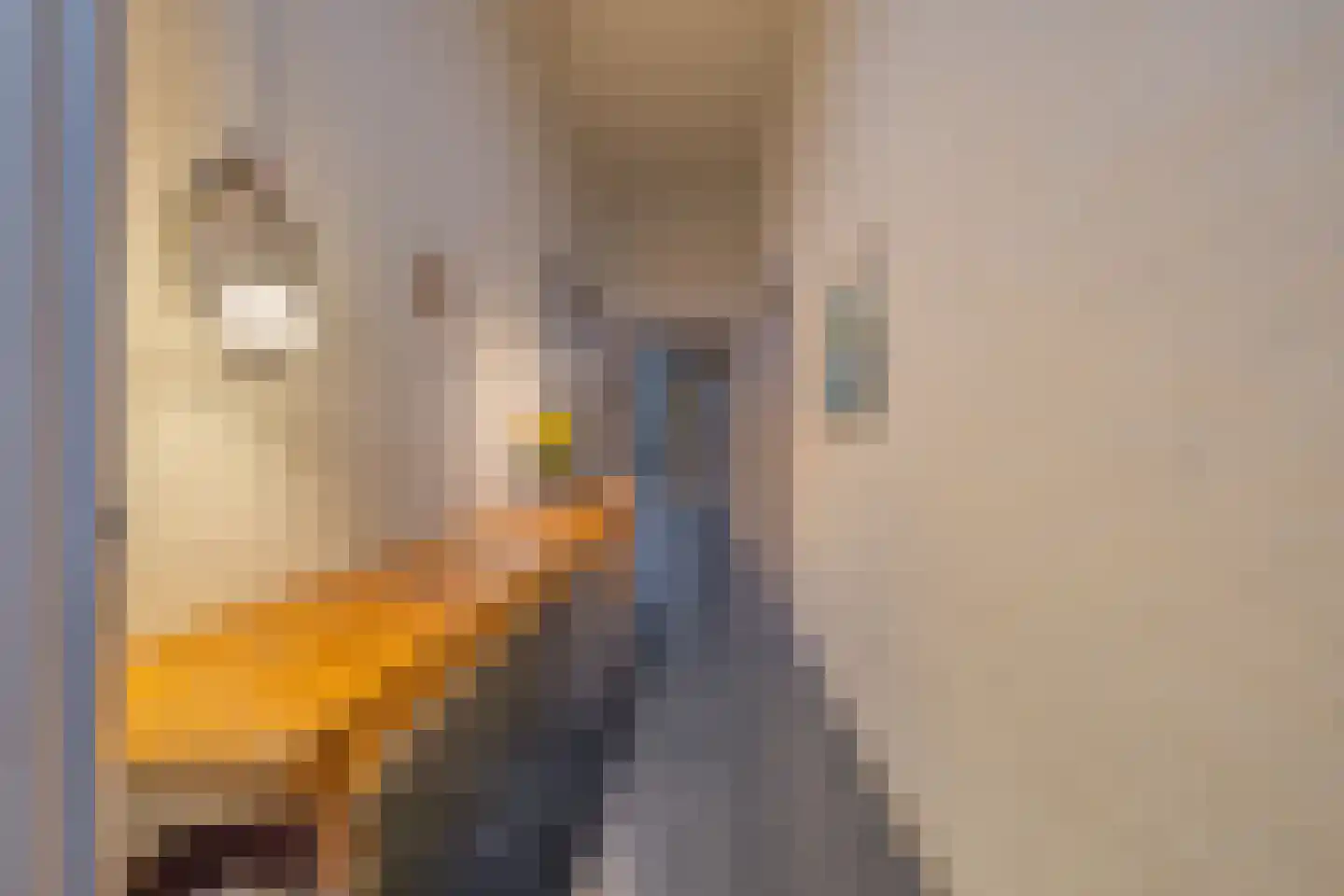 Wilhelminastraat 73 Vlissingen thumbnail 7