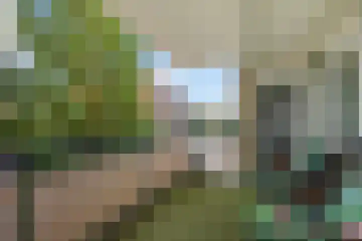 Wilhelminastraat 76 D Emmen thumbnail 13