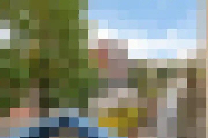 Wilhelminastraat 76 D Emmen thumbnail 14
