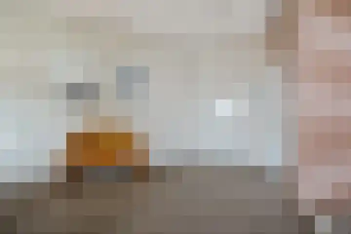 Wilhelminastraat 76 D Emmen thumbnail 30