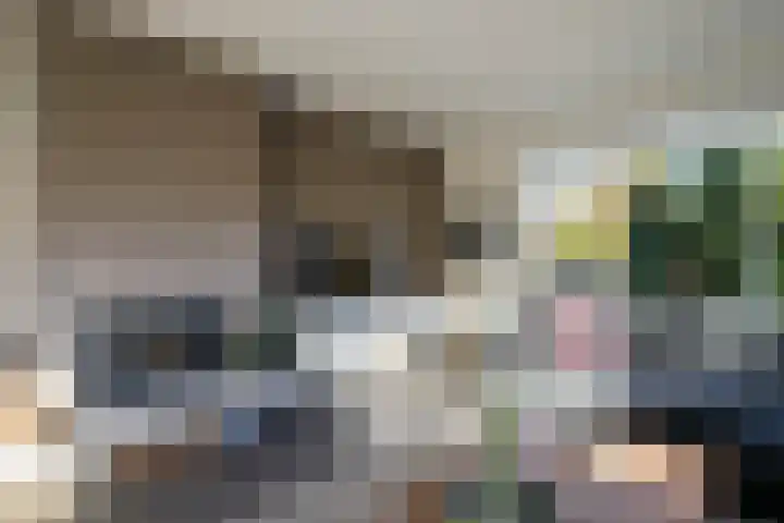 Wilhelminastraat 77 Lekkerkerk thumbnail 12