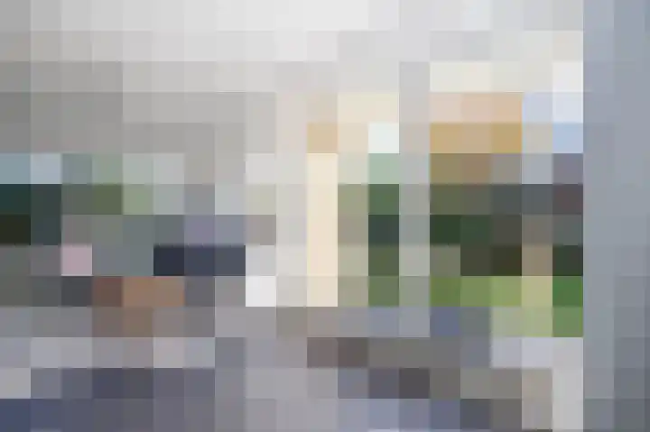 Wilhelminastraat 77 Lekkerkerk thumbnail 13