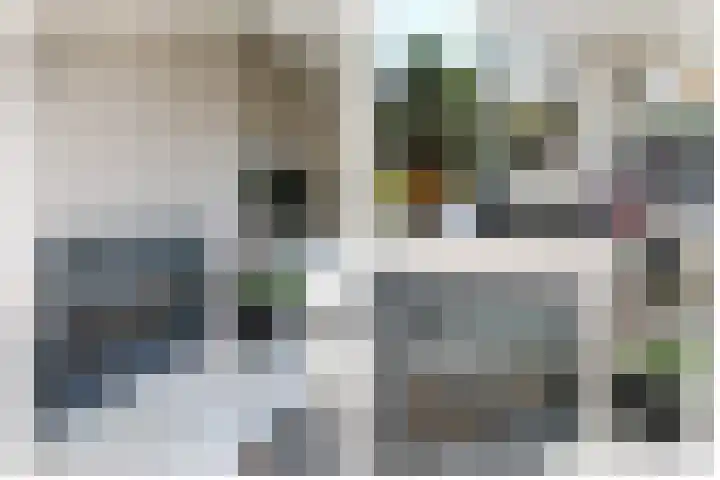 Wilhelminastraat 77 Lekkerkerk thumbnail 14